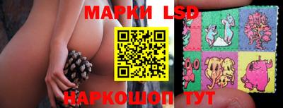 шишки Бузулук