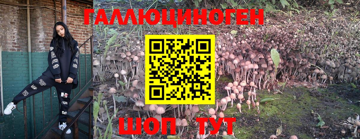 Псилоцибиновые грибы Cubensis Ливны